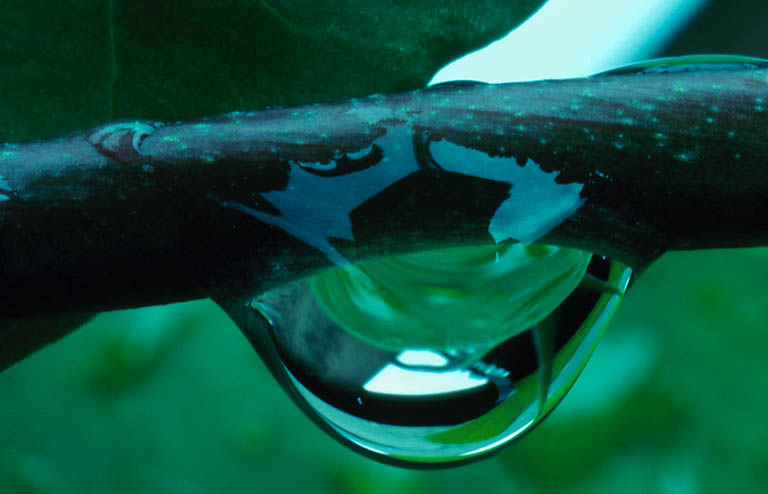 Drop of Water